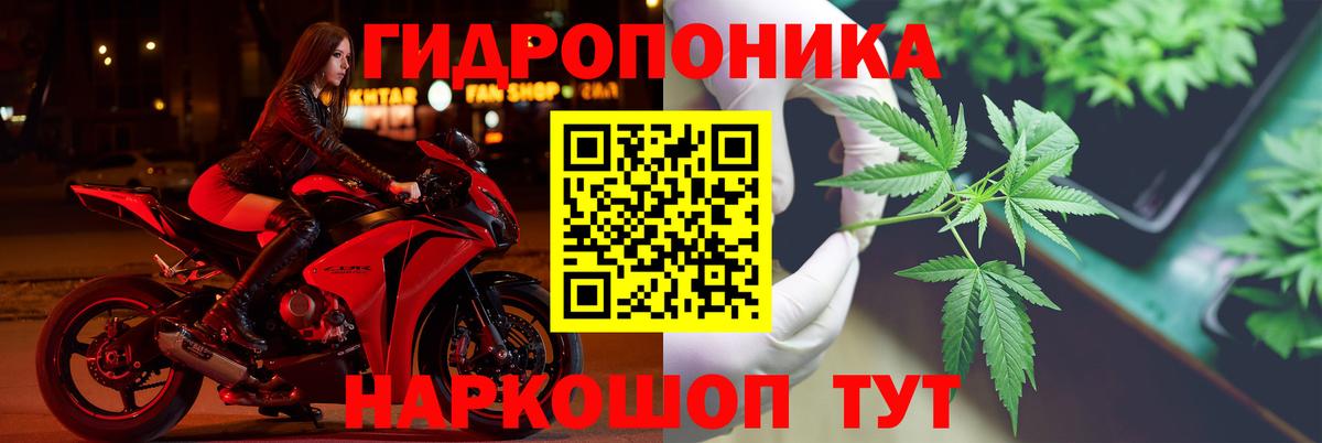 Марихуана White Widow Лыткарино